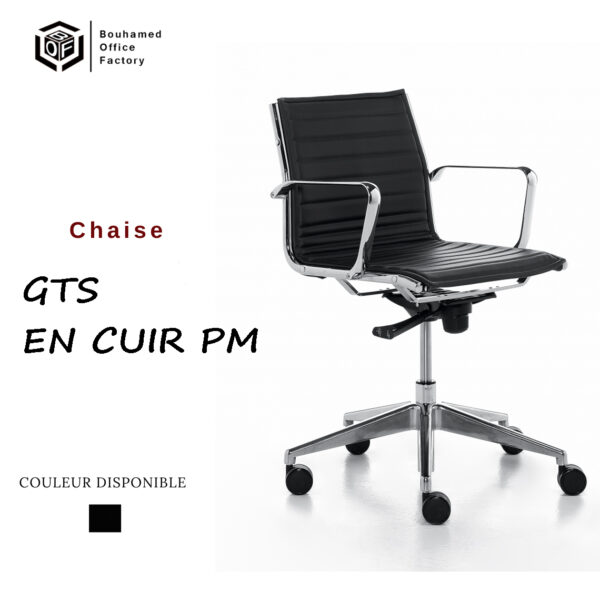 GTS EN CUIR PM