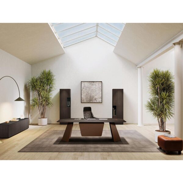 bureau de direction VAYNE